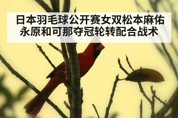 日本羽毛球公开赛女双松本麻佑永原和可那夺冠轮转配合战术