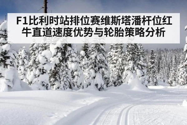 F1比利时站排位赛维斯塔潘杆位红牛直道速度优势与轮胎策略分析