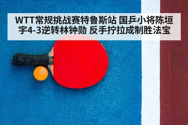 ping pong racket